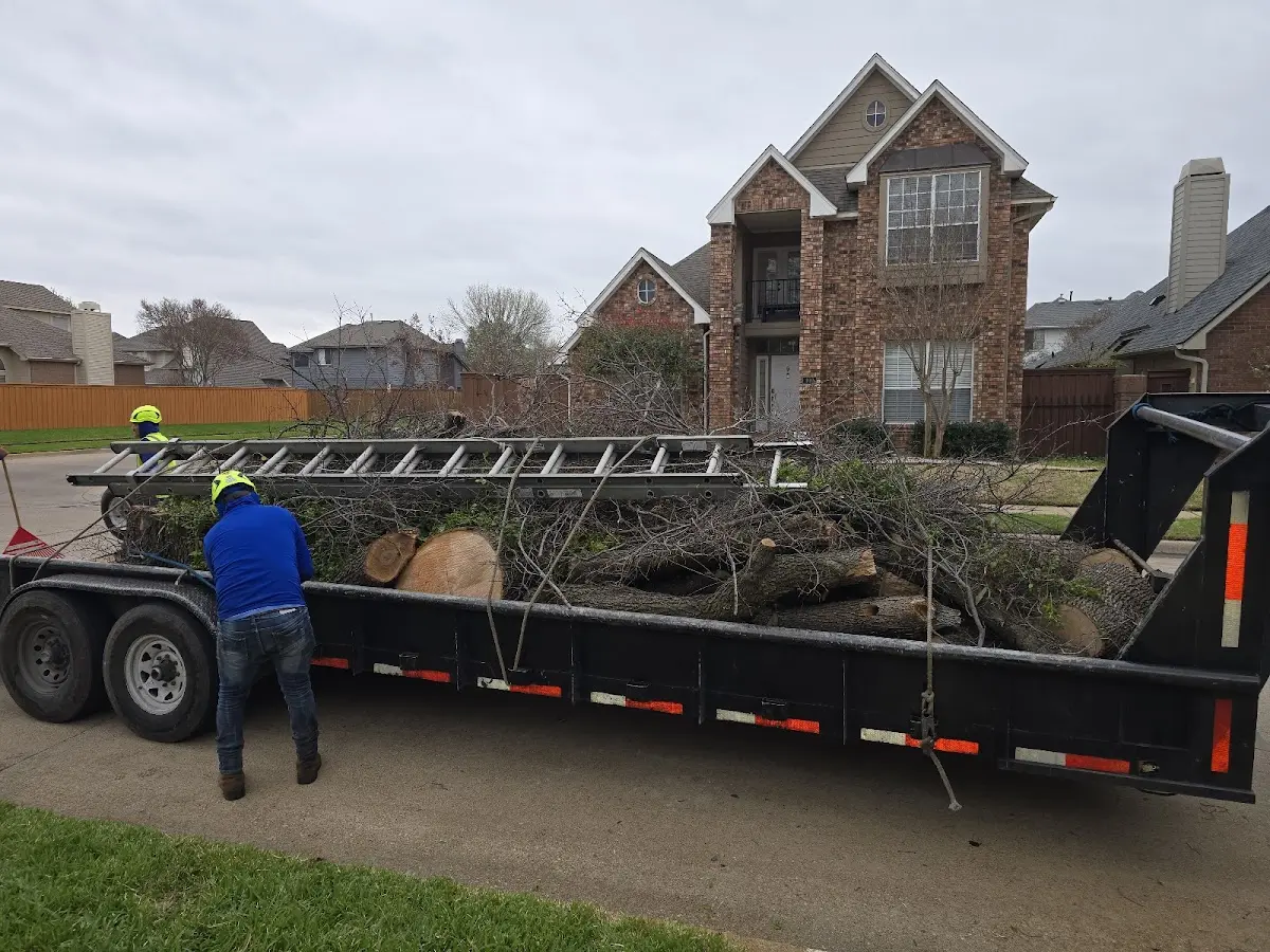 Expert Tree Removal with proper safety equipment in Lacassine
